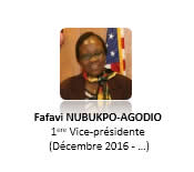 Fafavi NUBUKPO-AGODIO - 1 VP